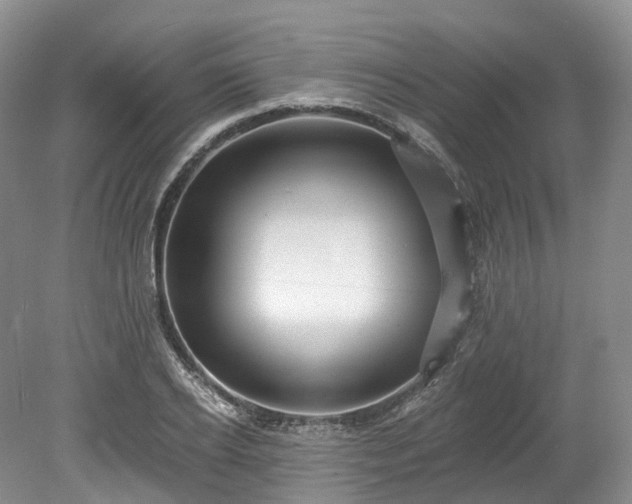 X0000078280934200611101130