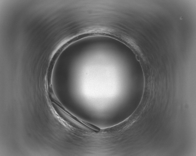 X0000078280936200611101130