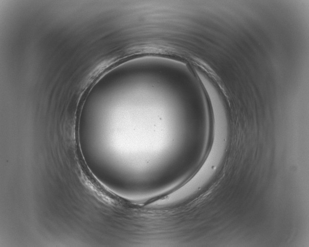 X0000078280938200611101130