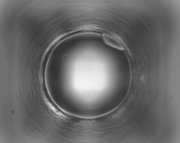 X0000078280939200611101130