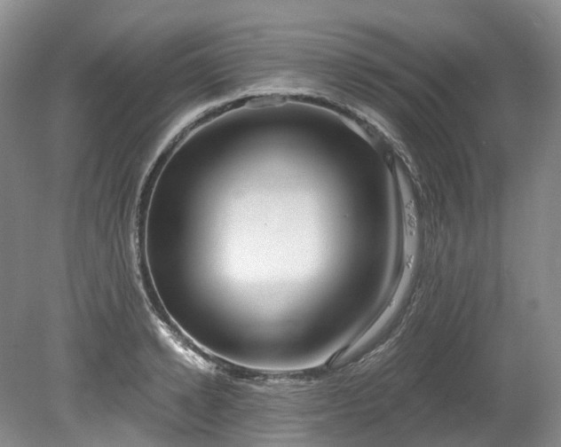 X0000078280942200611101130