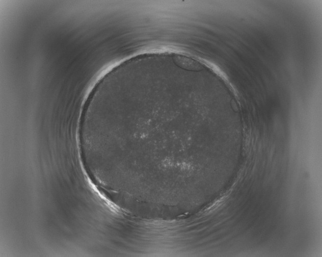 X0000078280943200611101130