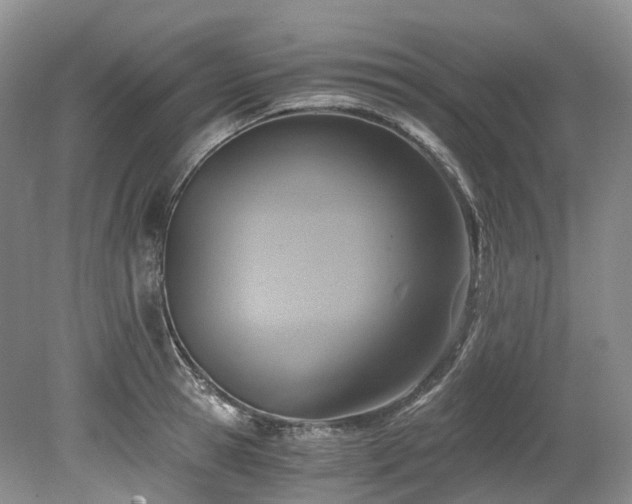 X0000078280945200611101130