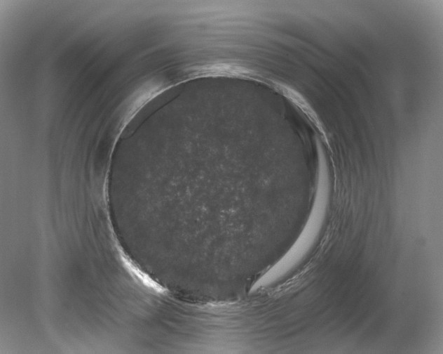 X0000078280946200611101130