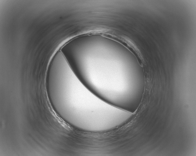 X0000078280948200611101130