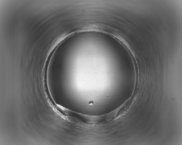 X0000078280949200611101130