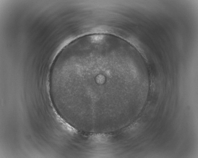 X0000078280950200611101130