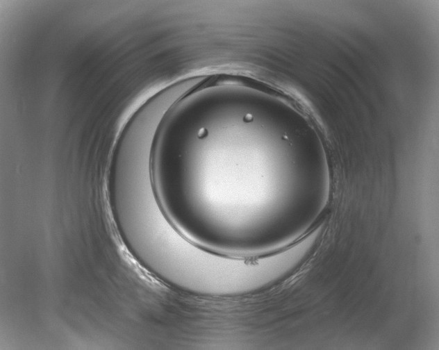 X0000078280952200611101130