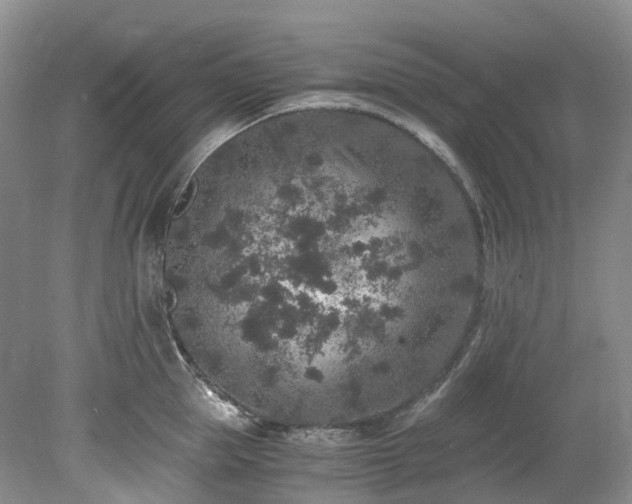 X0000078280953200611101130