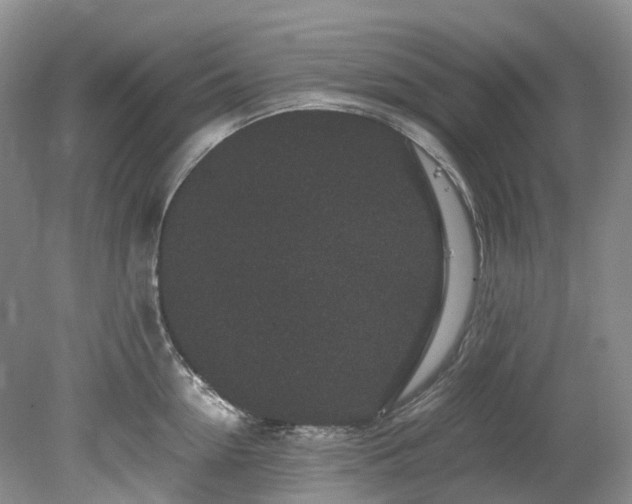 X0000078280954200611101130