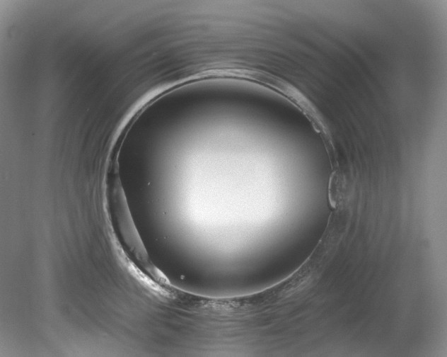 X0000078280955200611101130