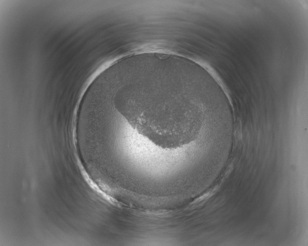 X0000078280957200611101130