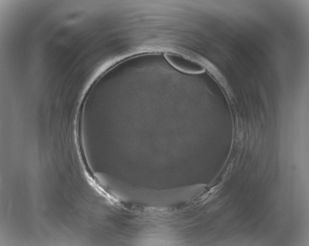 X0000078280958200611101130