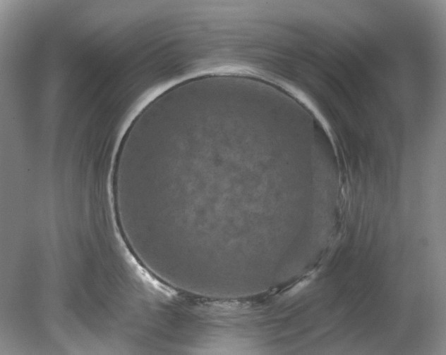 X0000078280959200611101130