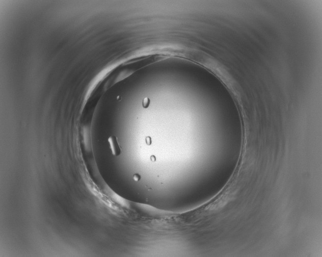 X0000078280960200611101130