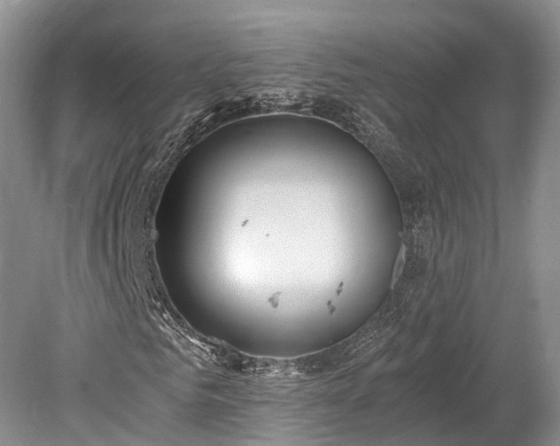 X0000078280961200611101129