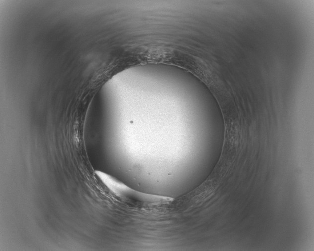 X0000078280962200611101129