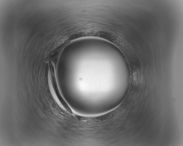 X0000078280963200611101129