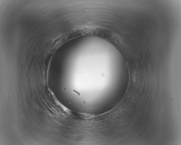 X0000078280964200611101129