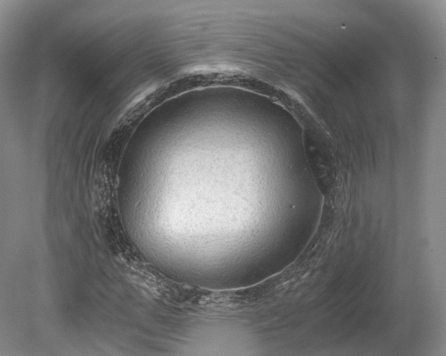 X0000078280967200611101129