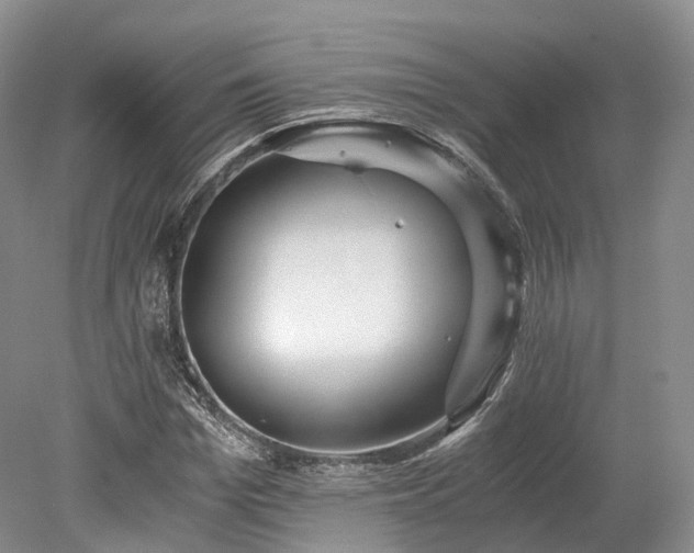 X0000078280969200611101129