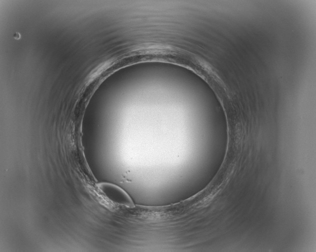 X0000078280970200611101129