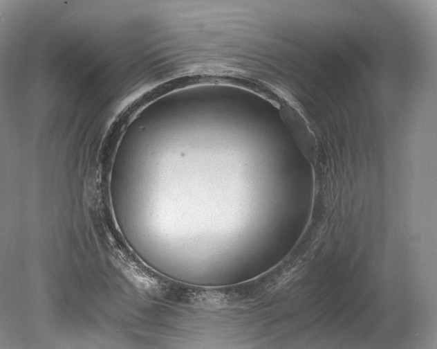 X0000078280971200611101129