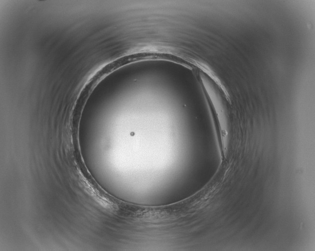 X0000078280972200611101129