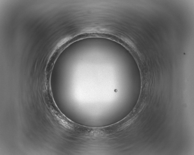 X0000078280974200611101129