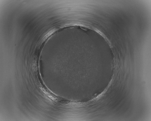 X0000078280977200611101129