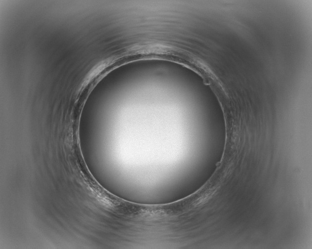 X0000078280978200611101129