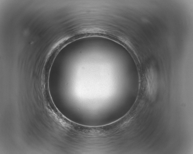 X0000078280979200611101129