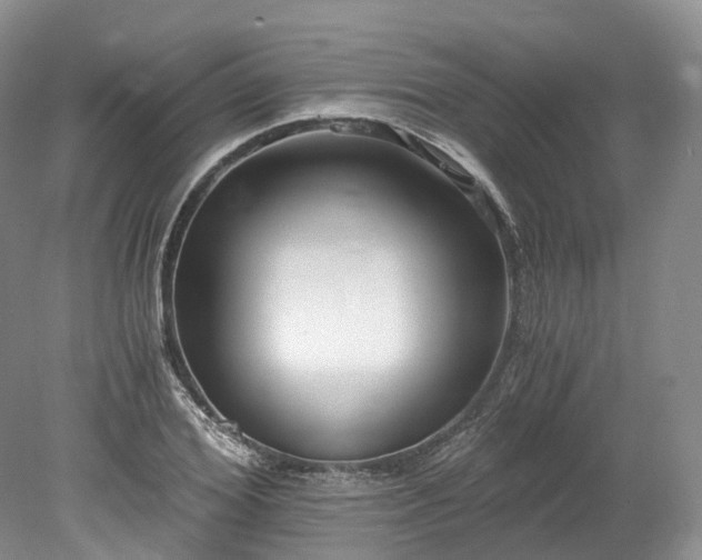 X0000078280980200611101129