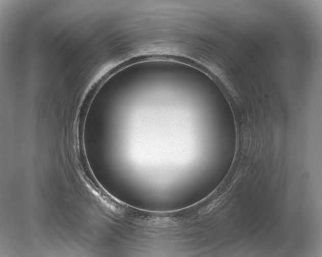 X0000078280982200611101129