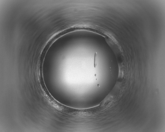 X0000078280984200611101129