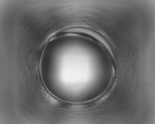 X0000078280985200611101129