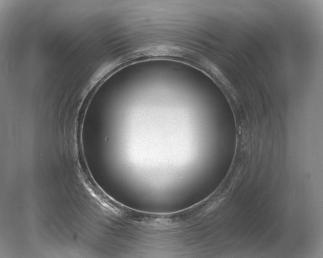 X0000078280986200611101129