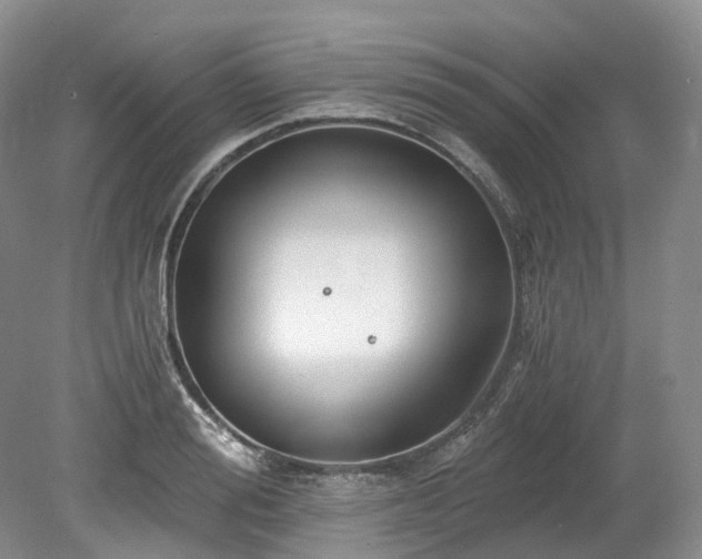 X0000078280988200611101129