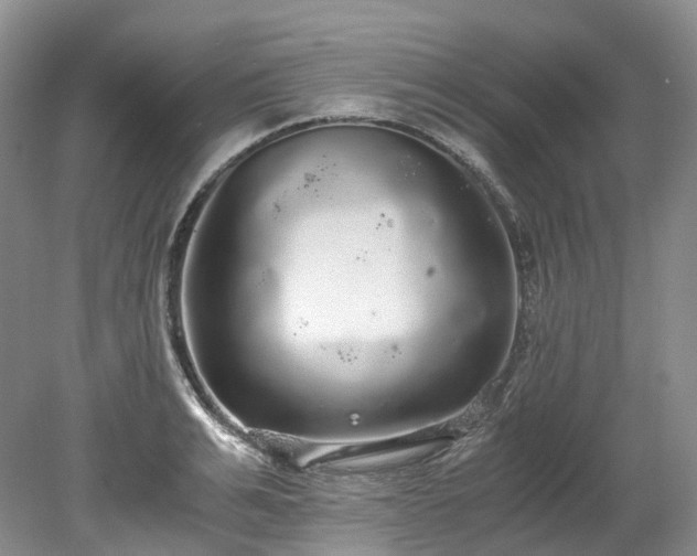 X0000078280991200611101129