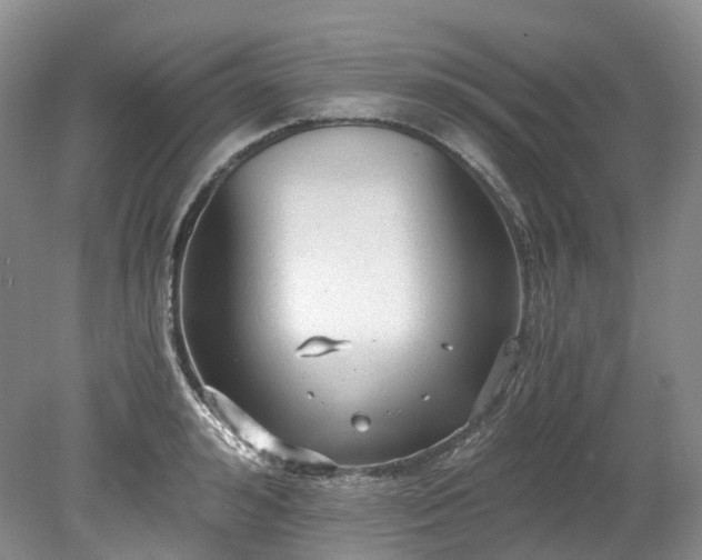 X0000078280992200611101129