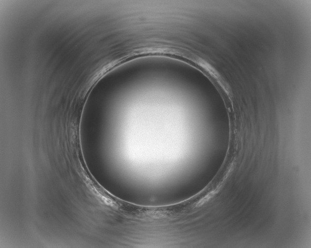 X0000078280993200611101129