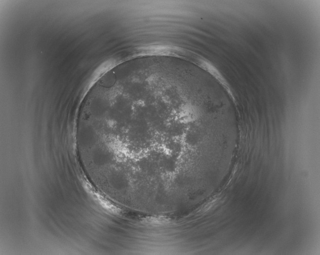 X0000078280994200611101129