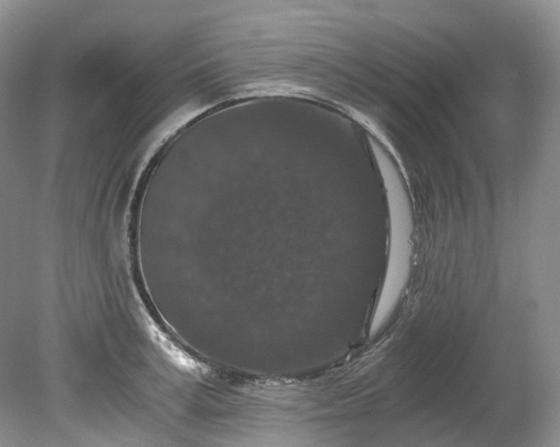 X0000078280995200611101129