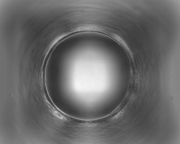 X0000078280996200611101129