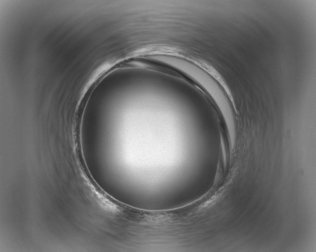 X0000078280997200611101129