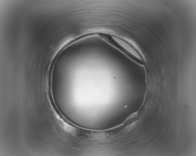 X0000078280999200611101129