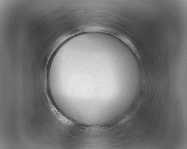 X0000078281000200611101129