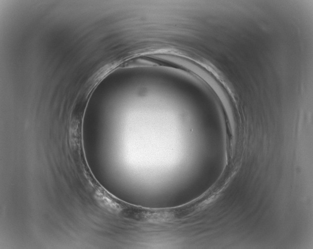 X0000078281001200611101129