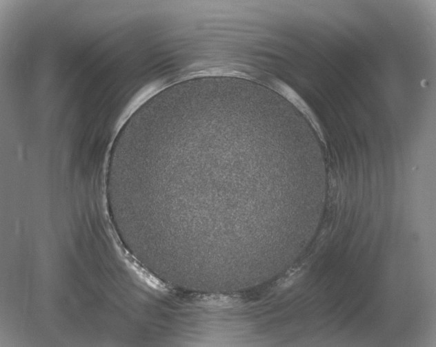 X0000078281002200611101129