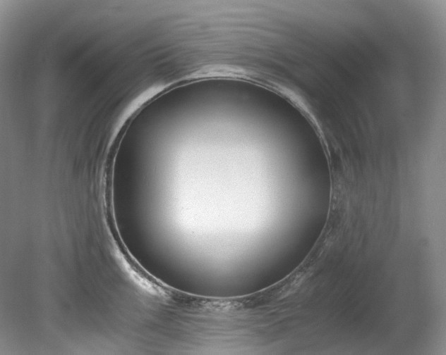 X0000078281003200611101129